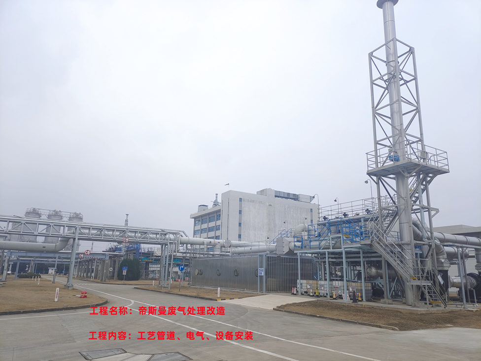 帝斯曼廢氣處理改造